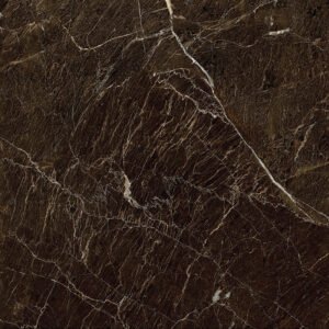 Elegant Brown